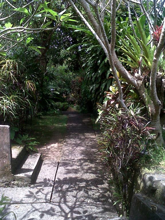 Arjana Bungalows 2 Ubud  Exterior photo